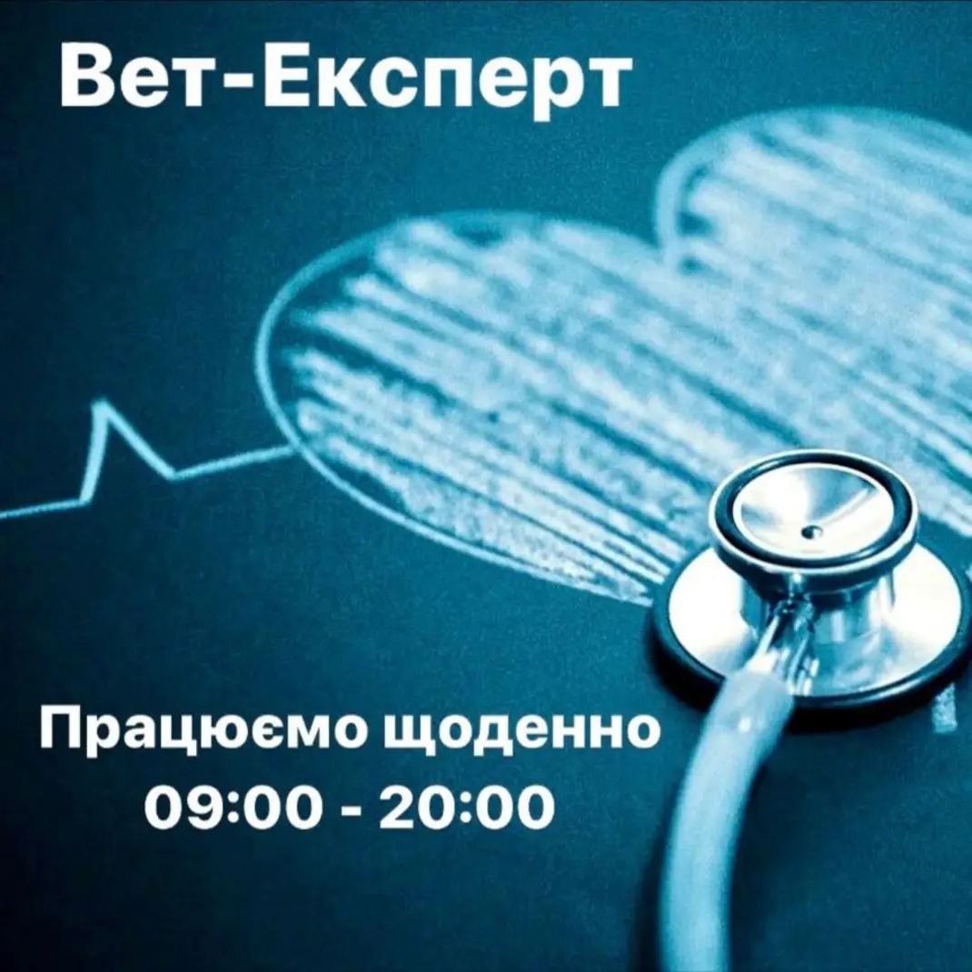 Вет-Експерт — Тварини та ветеринарія